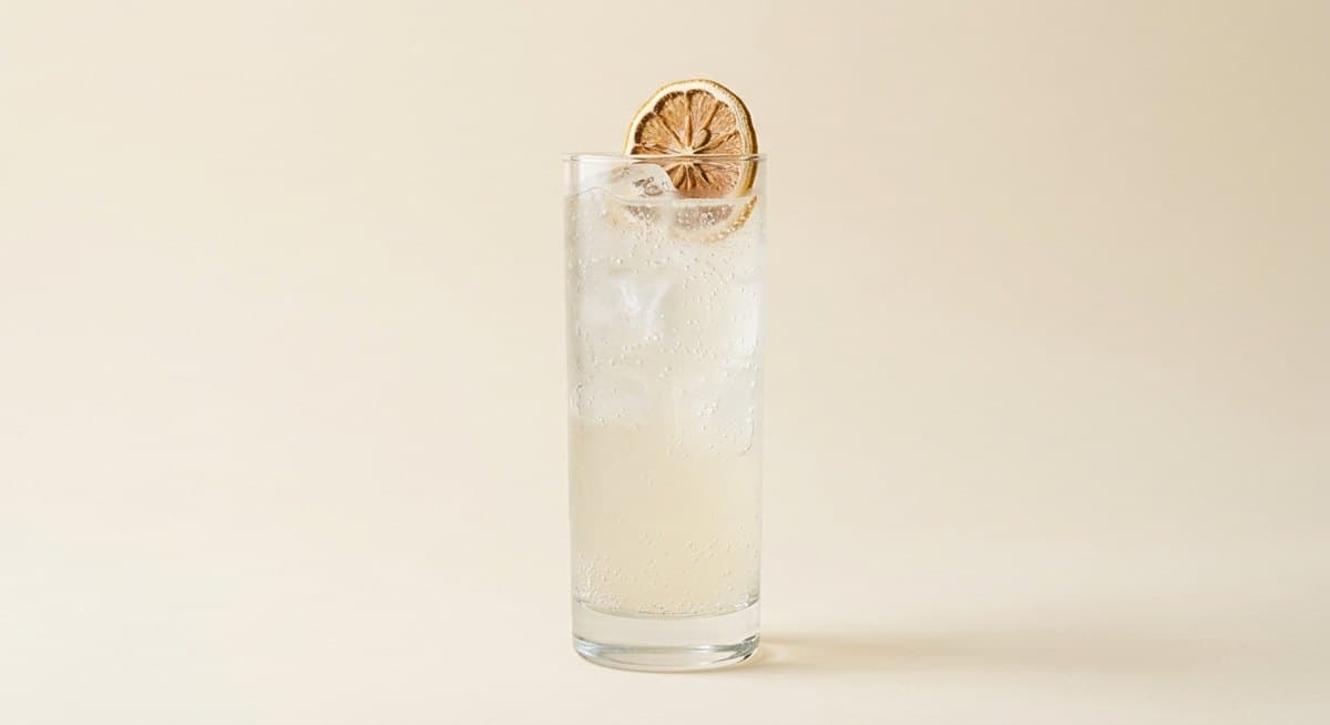 Tom Collins with a dried lemon wheel
